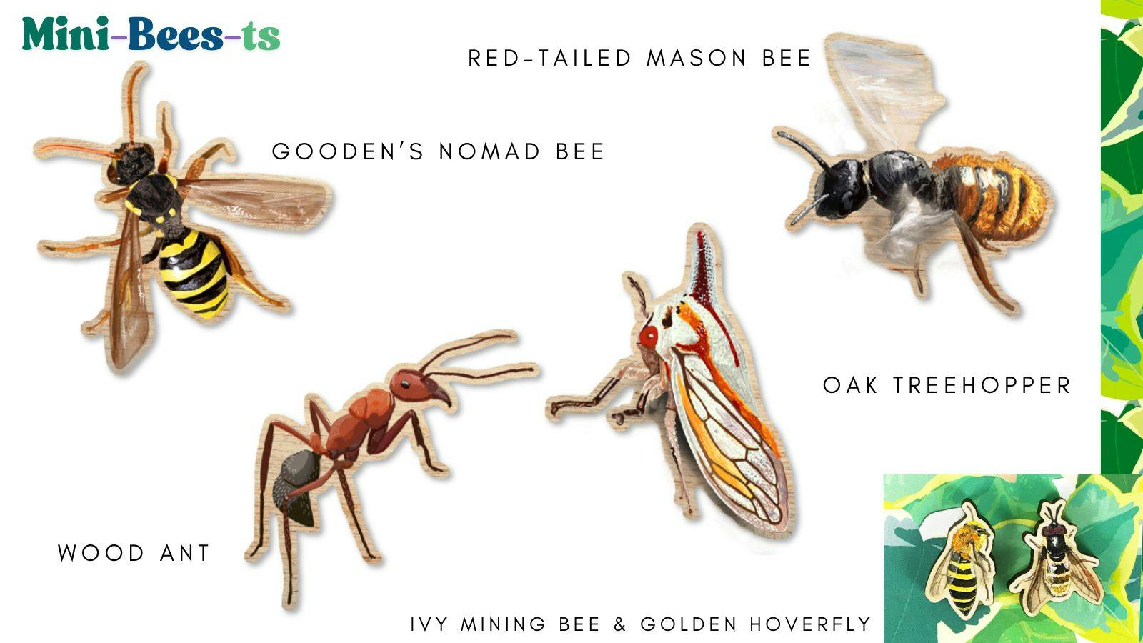 a selection of illustrated wooden items from left to right they show a gooden's nomad bee, a wood ant, an oak treehopper, a red-tailed mason bee, an ivy mining bee and golden hoverfly.