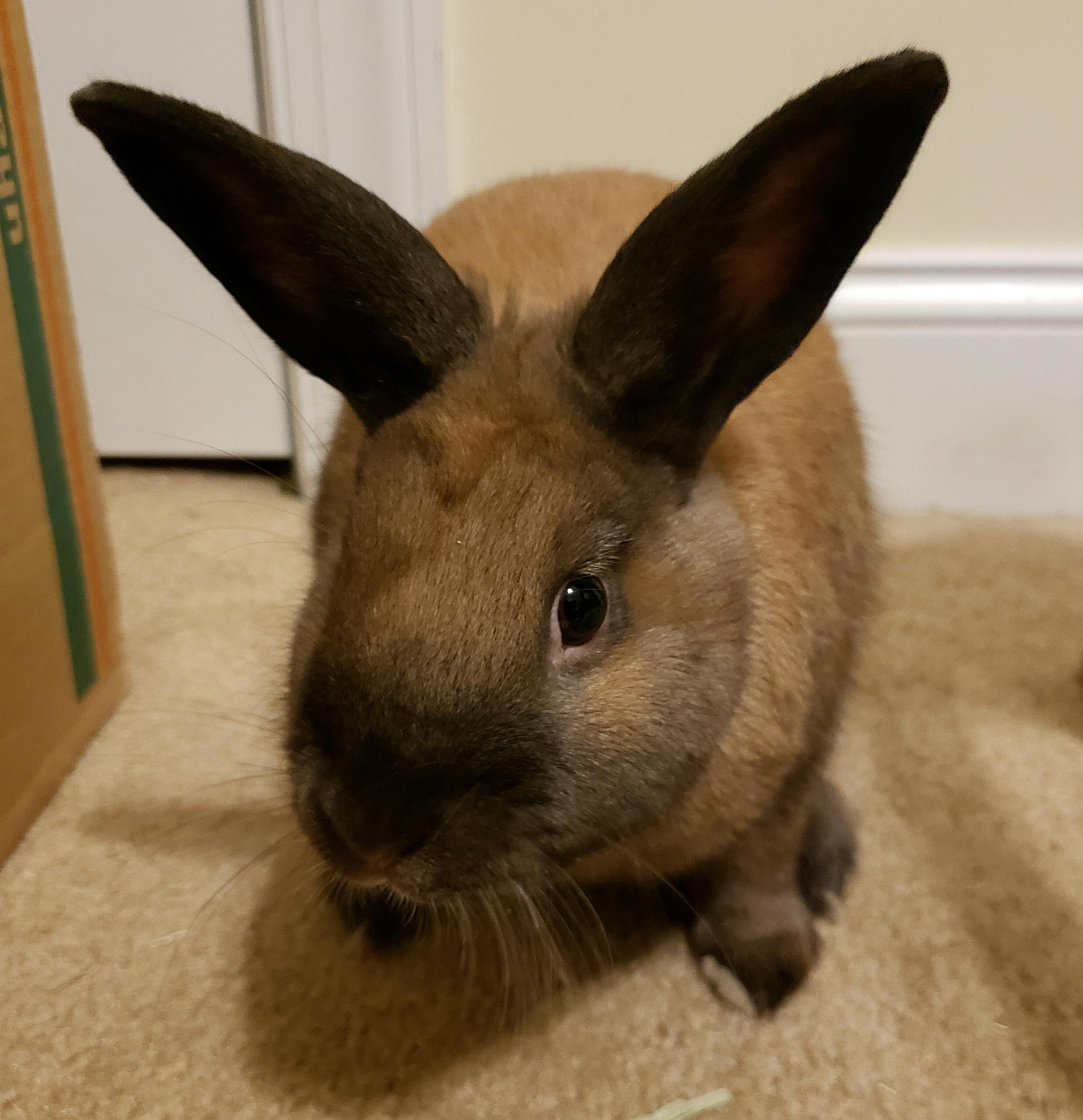 user avatar image for Jeff "Deathstalker" Brown