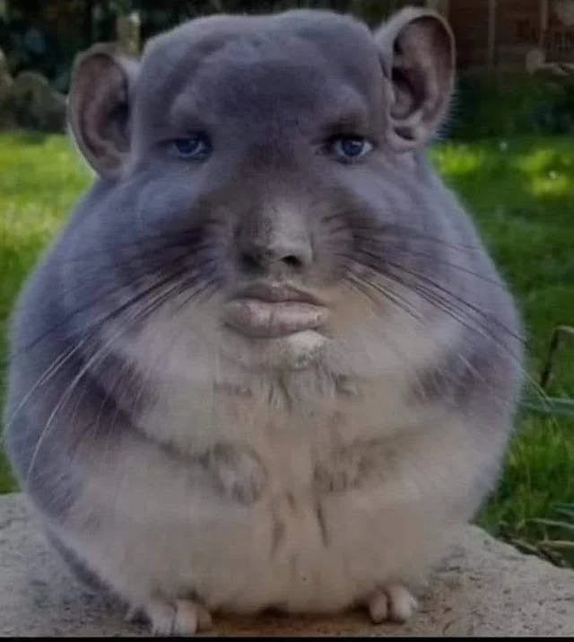 user avatar image for William 