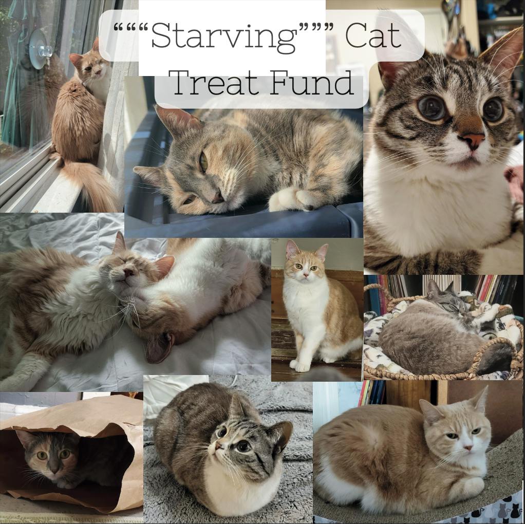 Starving Child Treat Fund