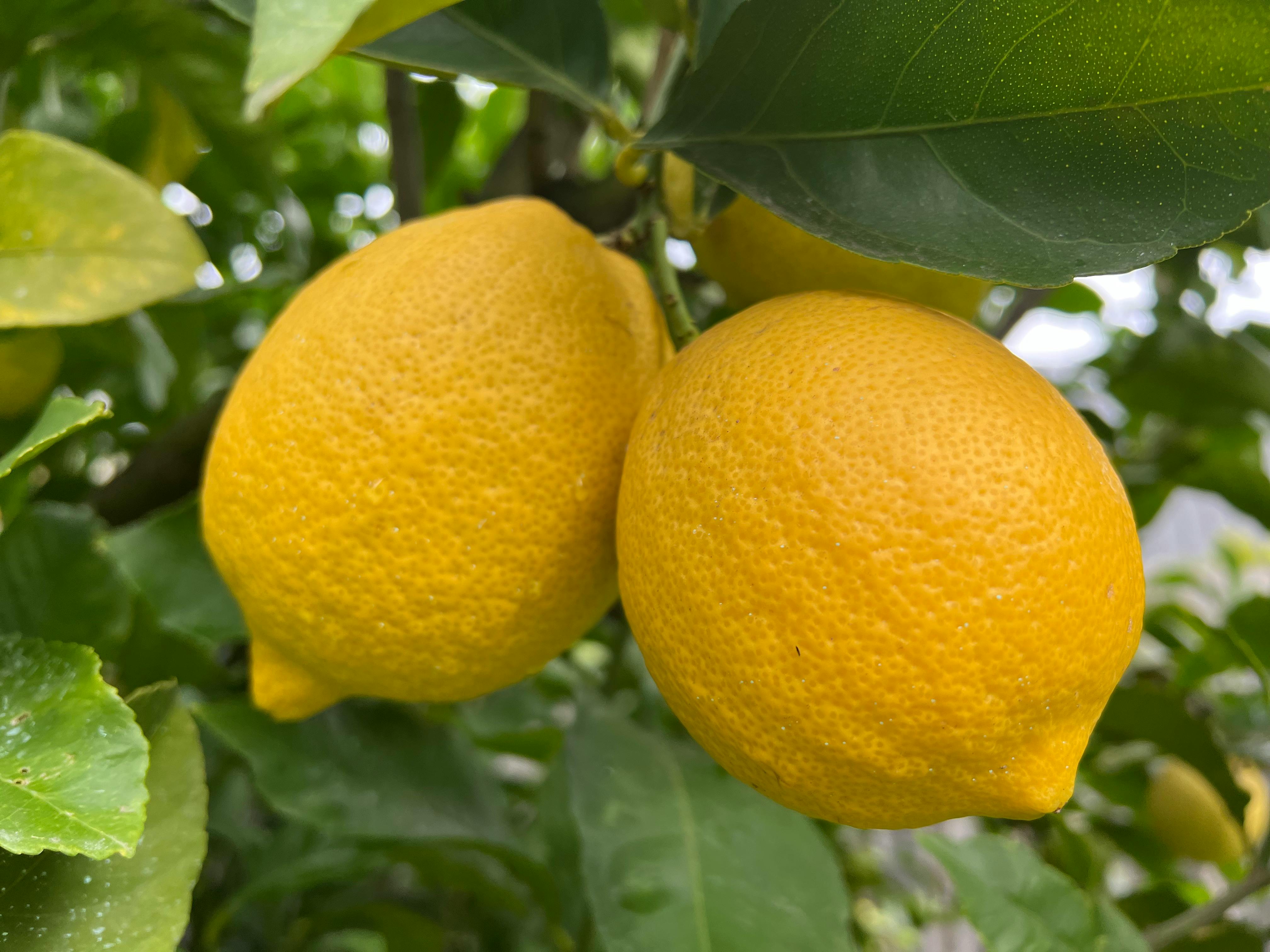 user avatar image for Ondinespirit