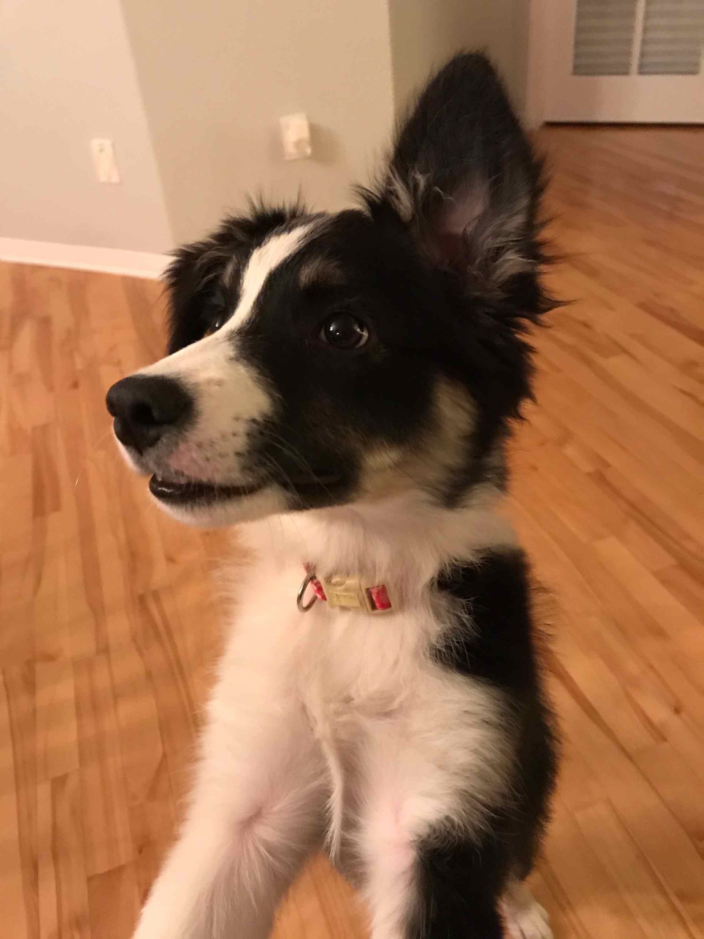 user avatar image for Xsteff