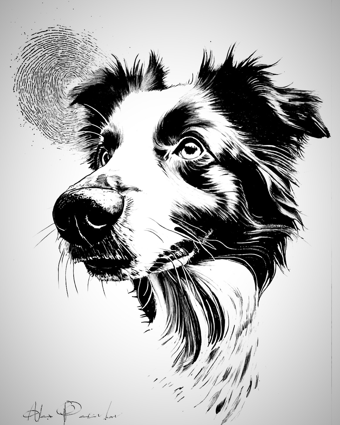 user avatar image for Alex