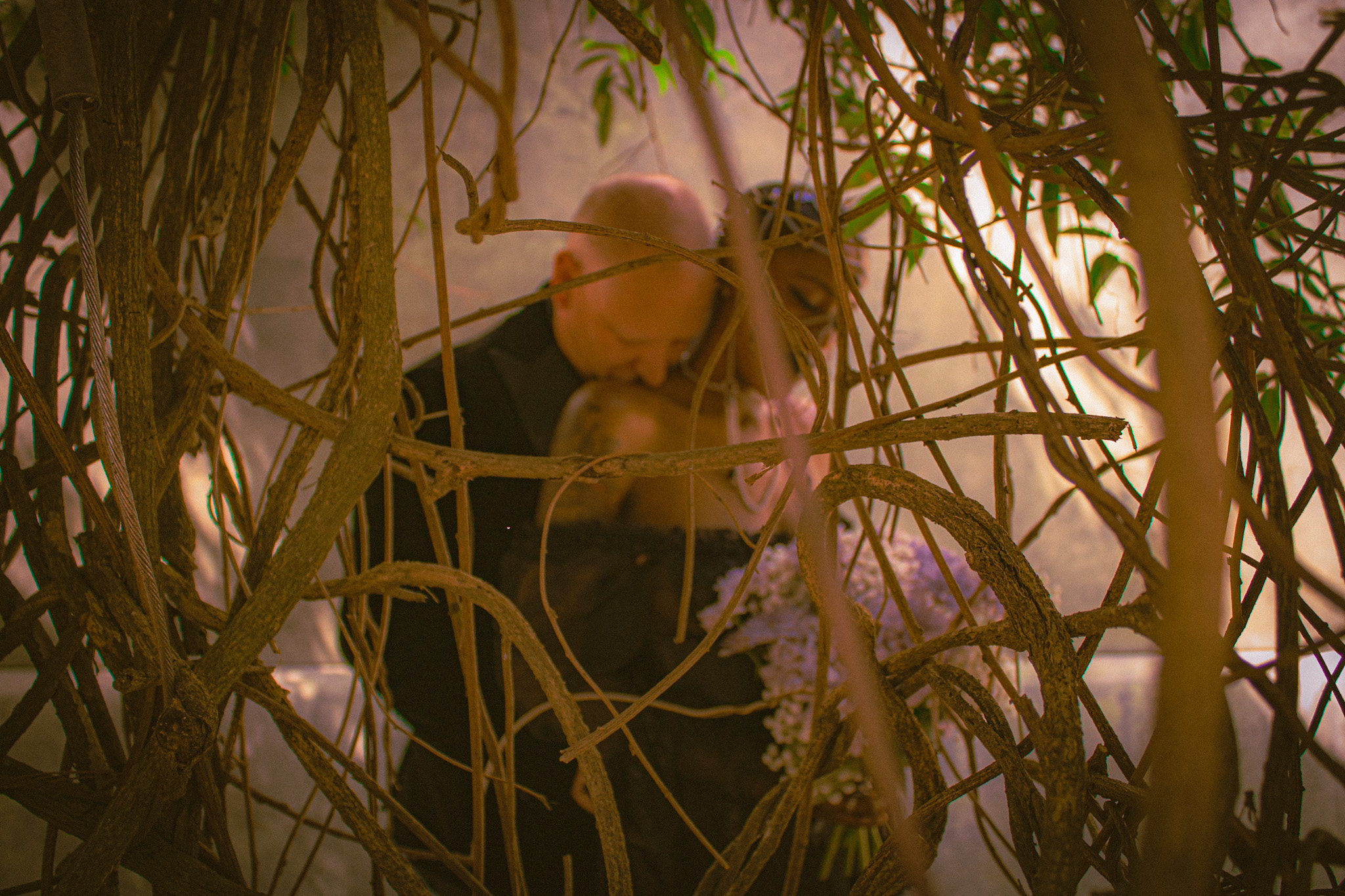 user avatar image for Larry Dauncey