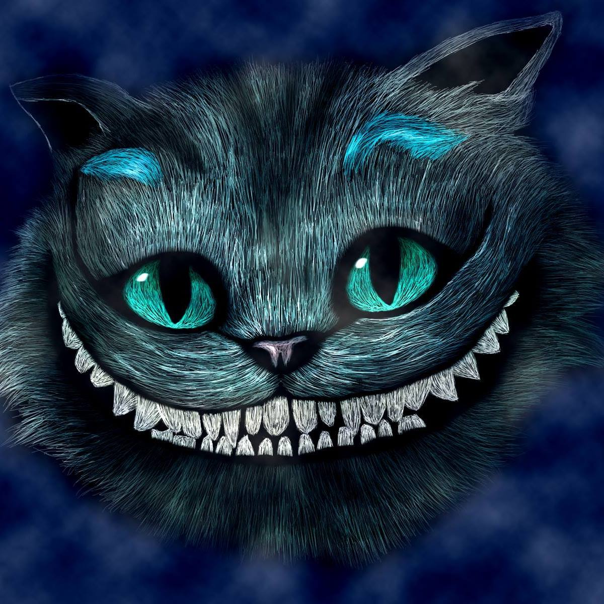 user avatar image for Kimber