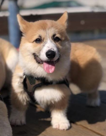 user avatar image for Hung Tran