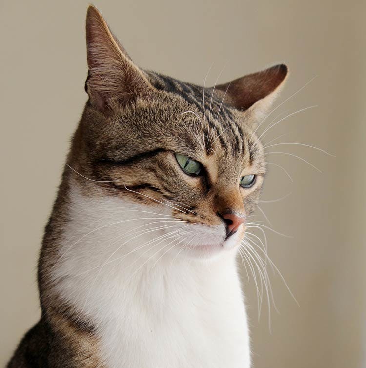 user avatar image for Tabitha