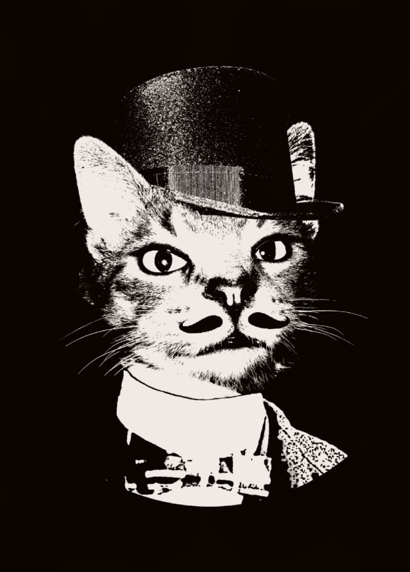 user avatar image for HatterKatt