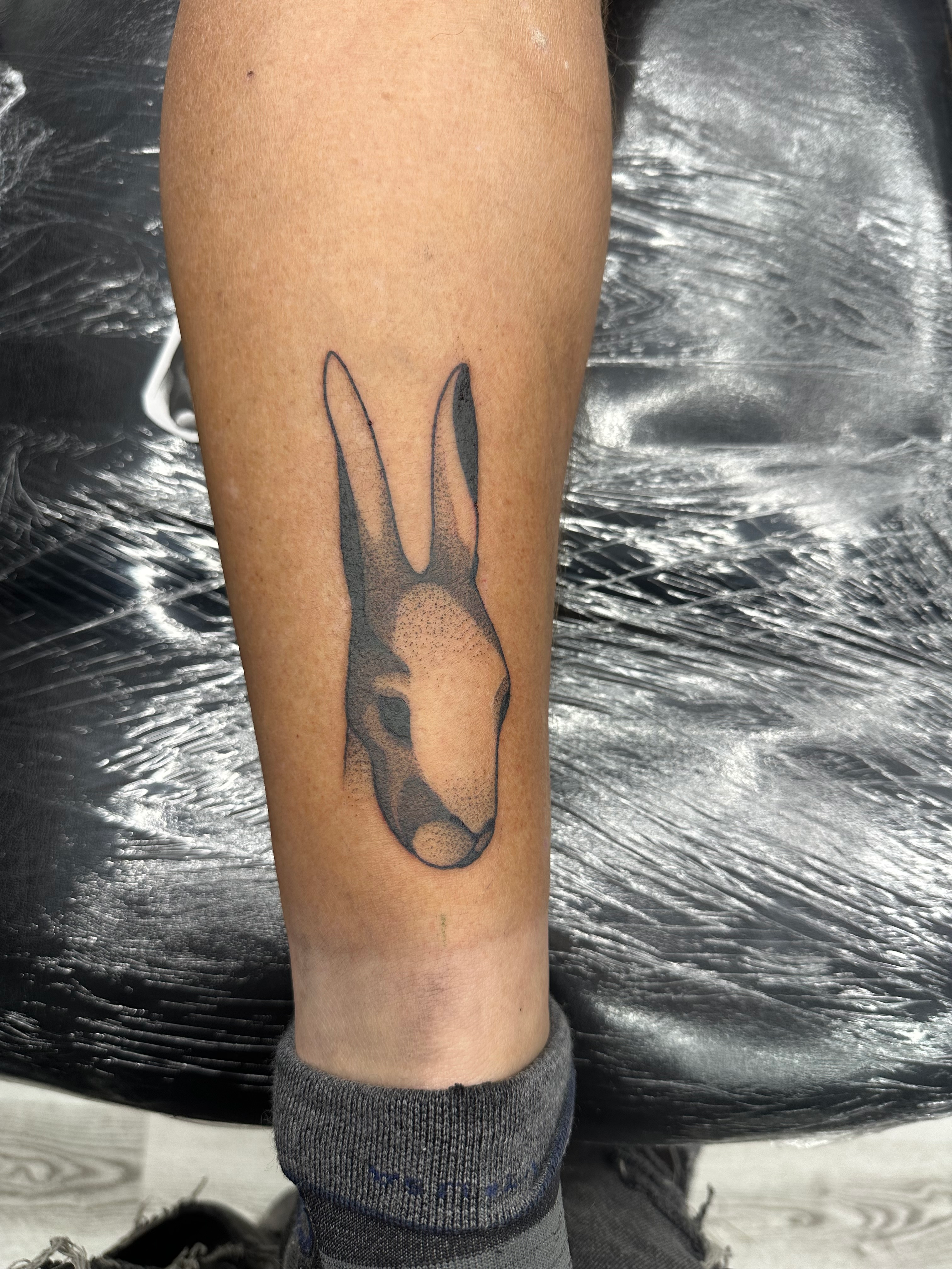 user avatar image for Steve Dickes