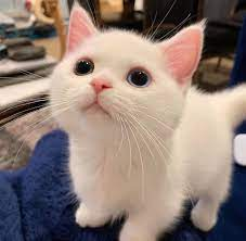 user avatar image for Agriel