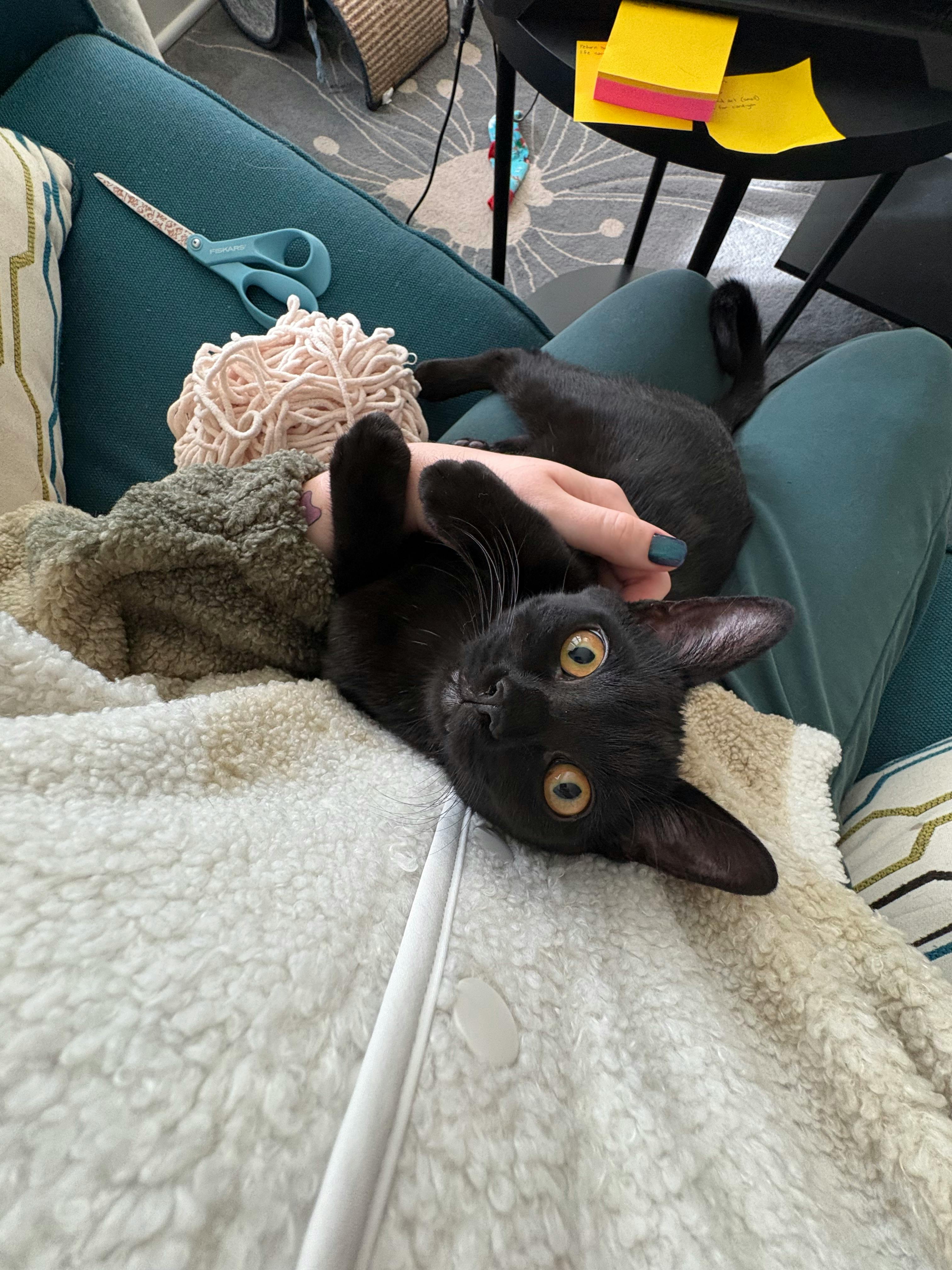 user avatar image for Delaney L