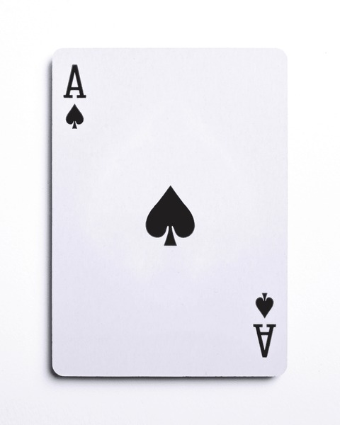 user avatar image for PN