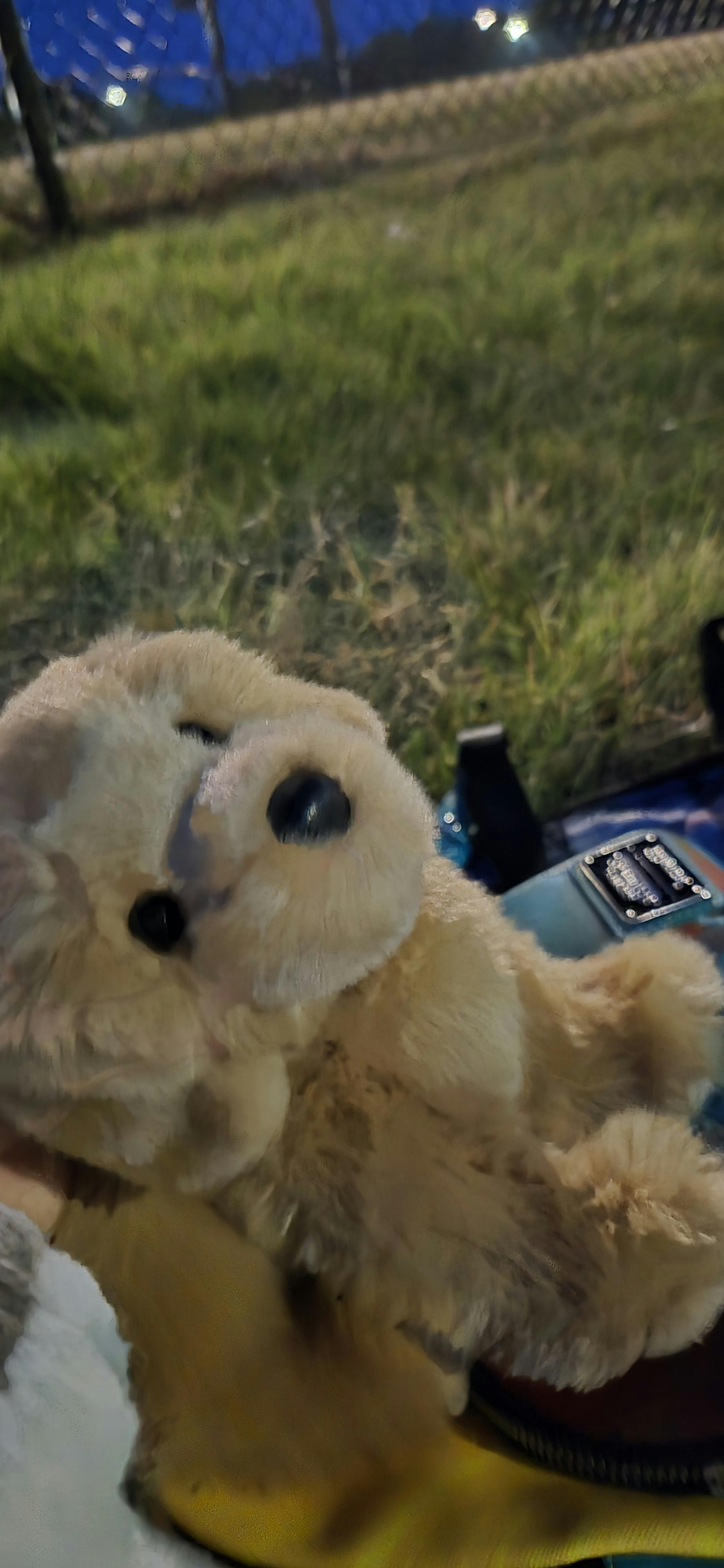 user avatar image for Kookiewizard