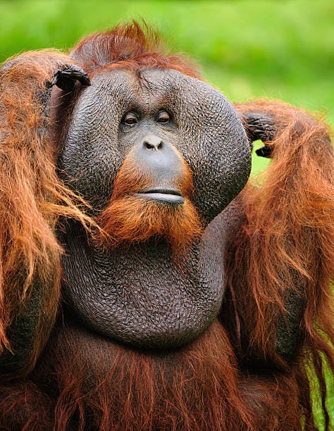 user avatar image for Daniel Kolář