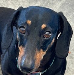 user avatar image for RocketRobby