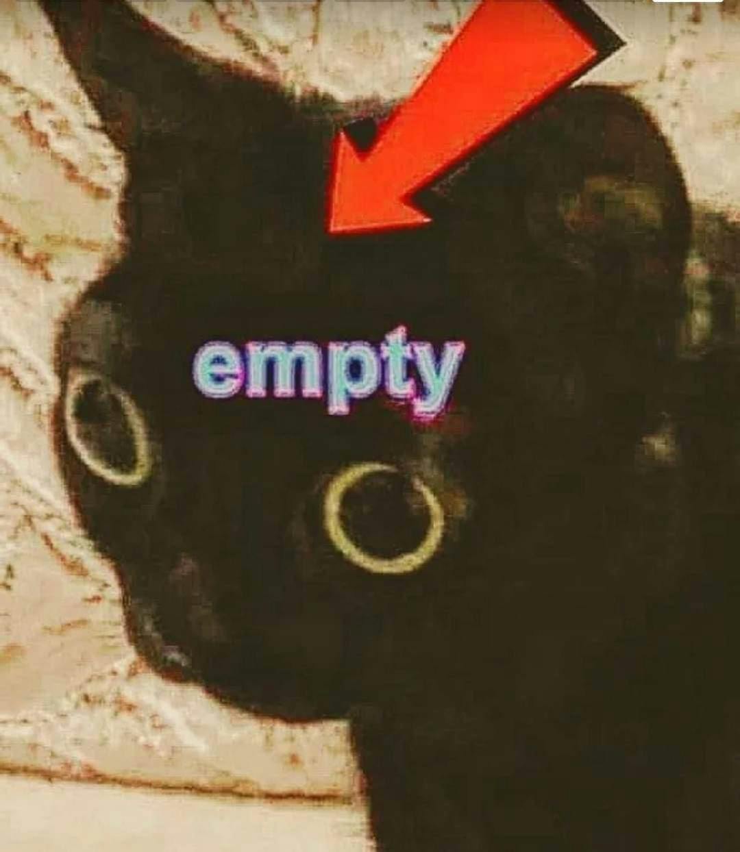 user avatar image for Em