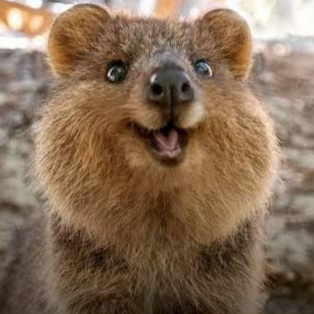 user avatar image for Dyllan