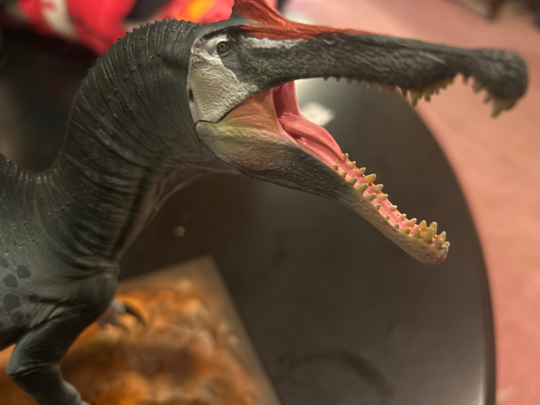 user avatar image for Pliosaurking 