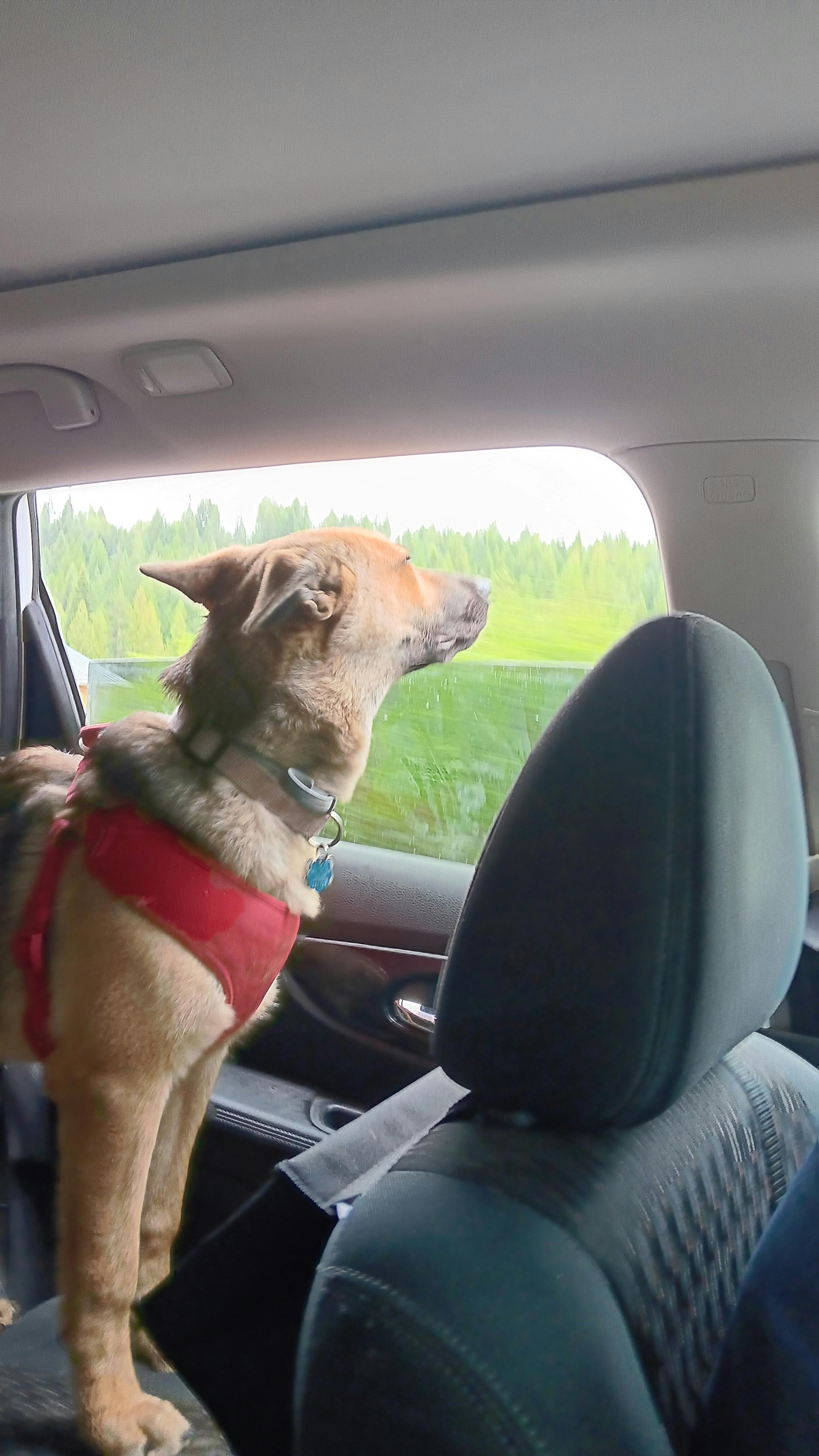 user avatar image for Acia