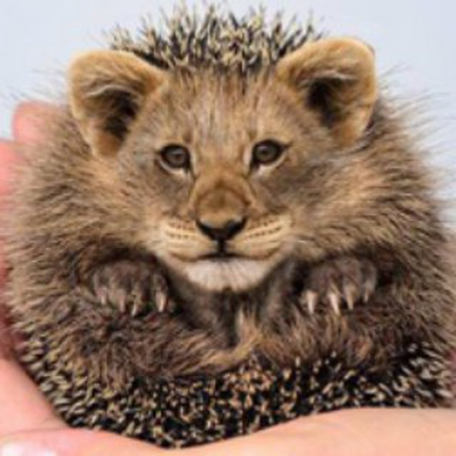 user avatar image for Yaroslav Platash
