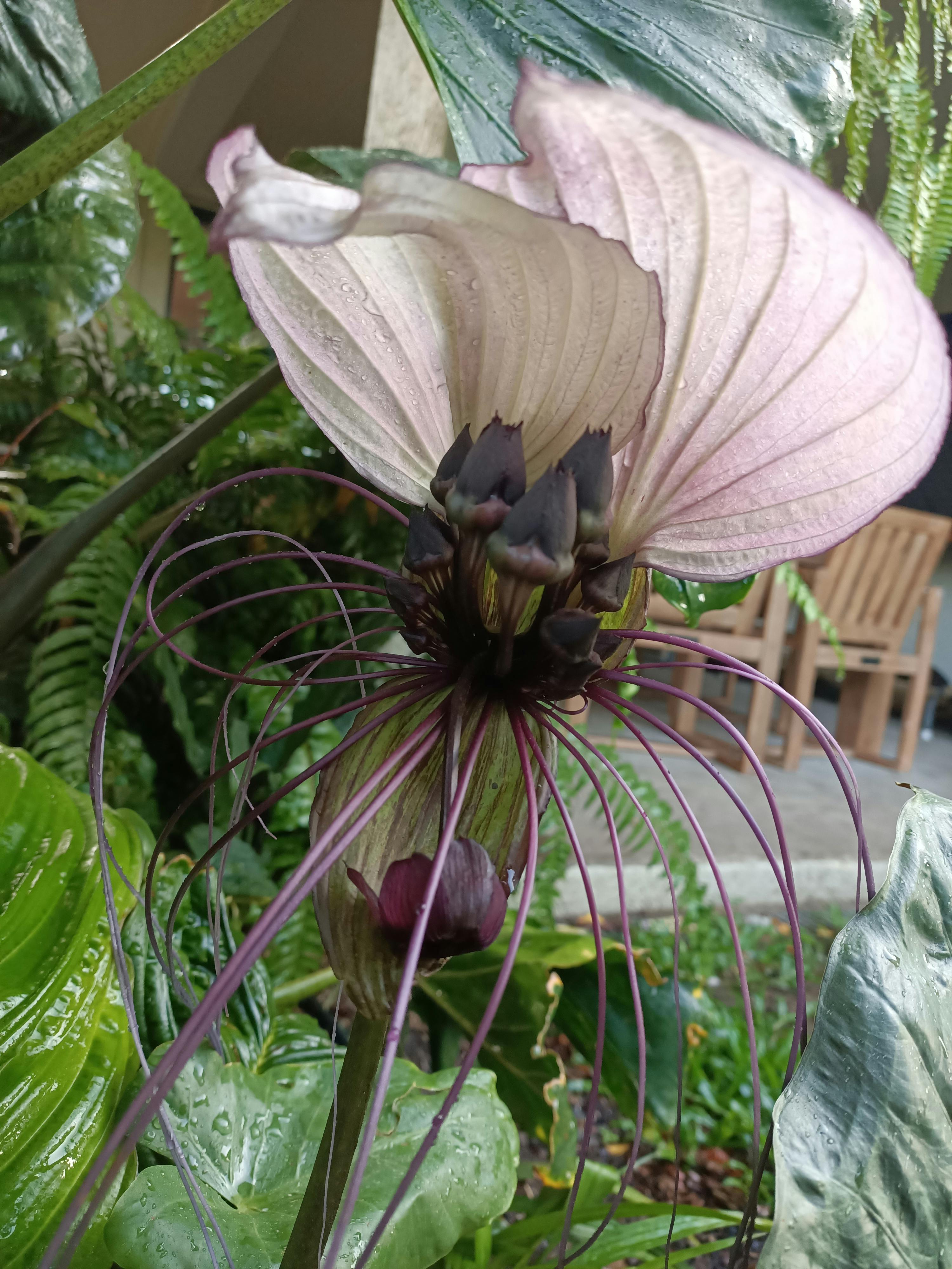 user avatar image for BAZKASS