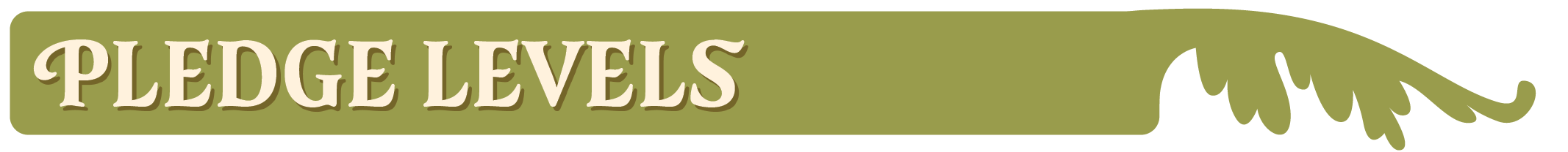 Pledge Levels