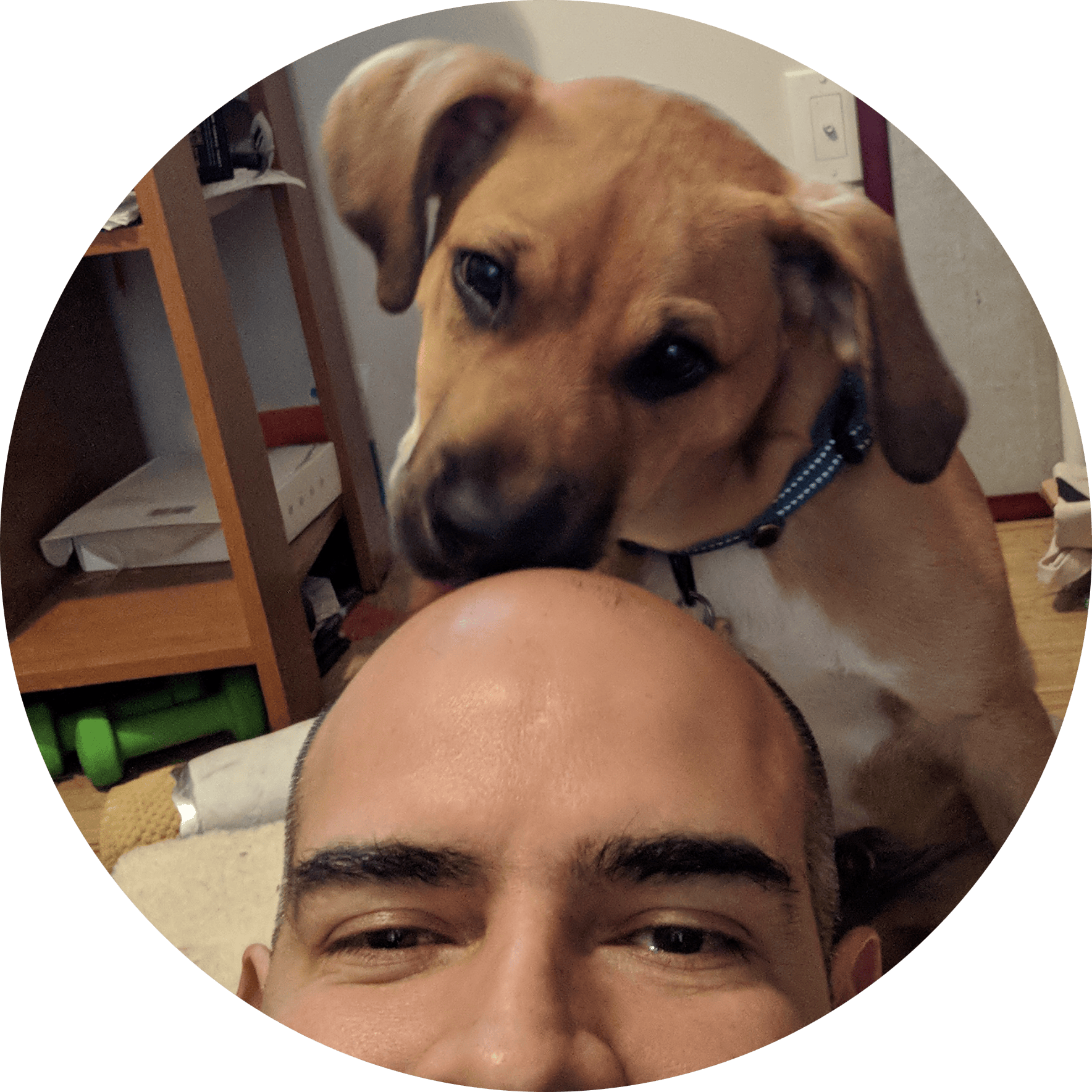 user avatar image for J-Tiz