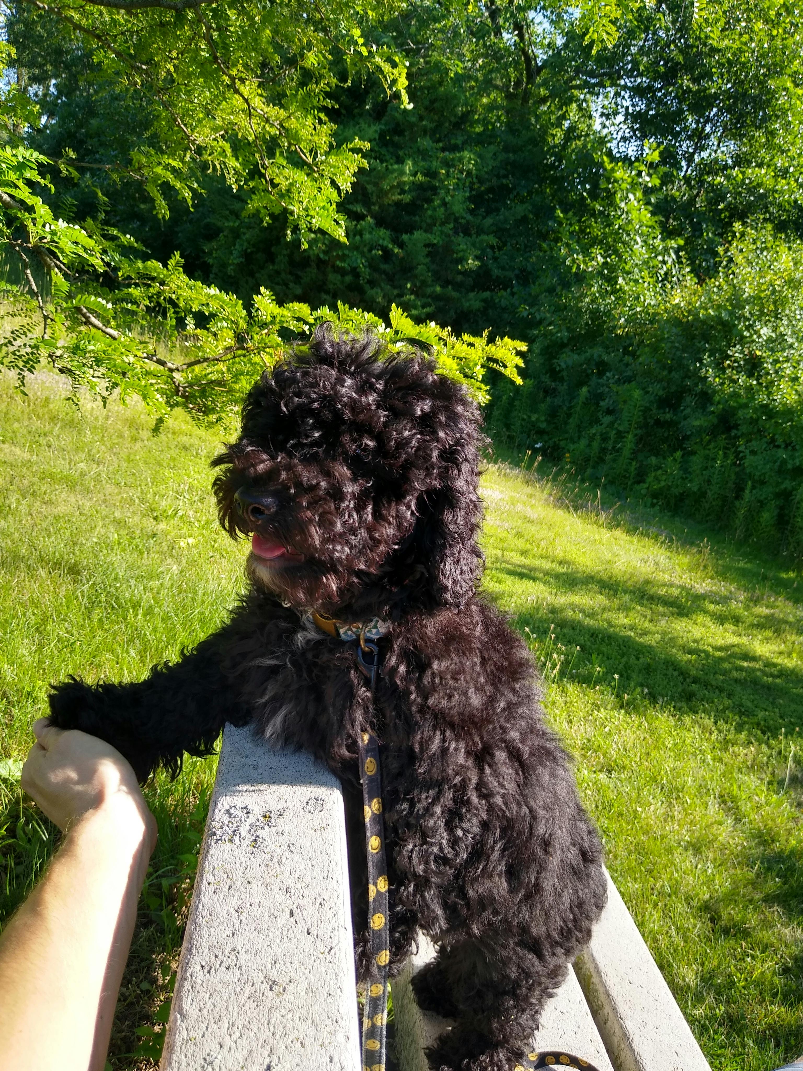 user avatar image for JahJahTrooper