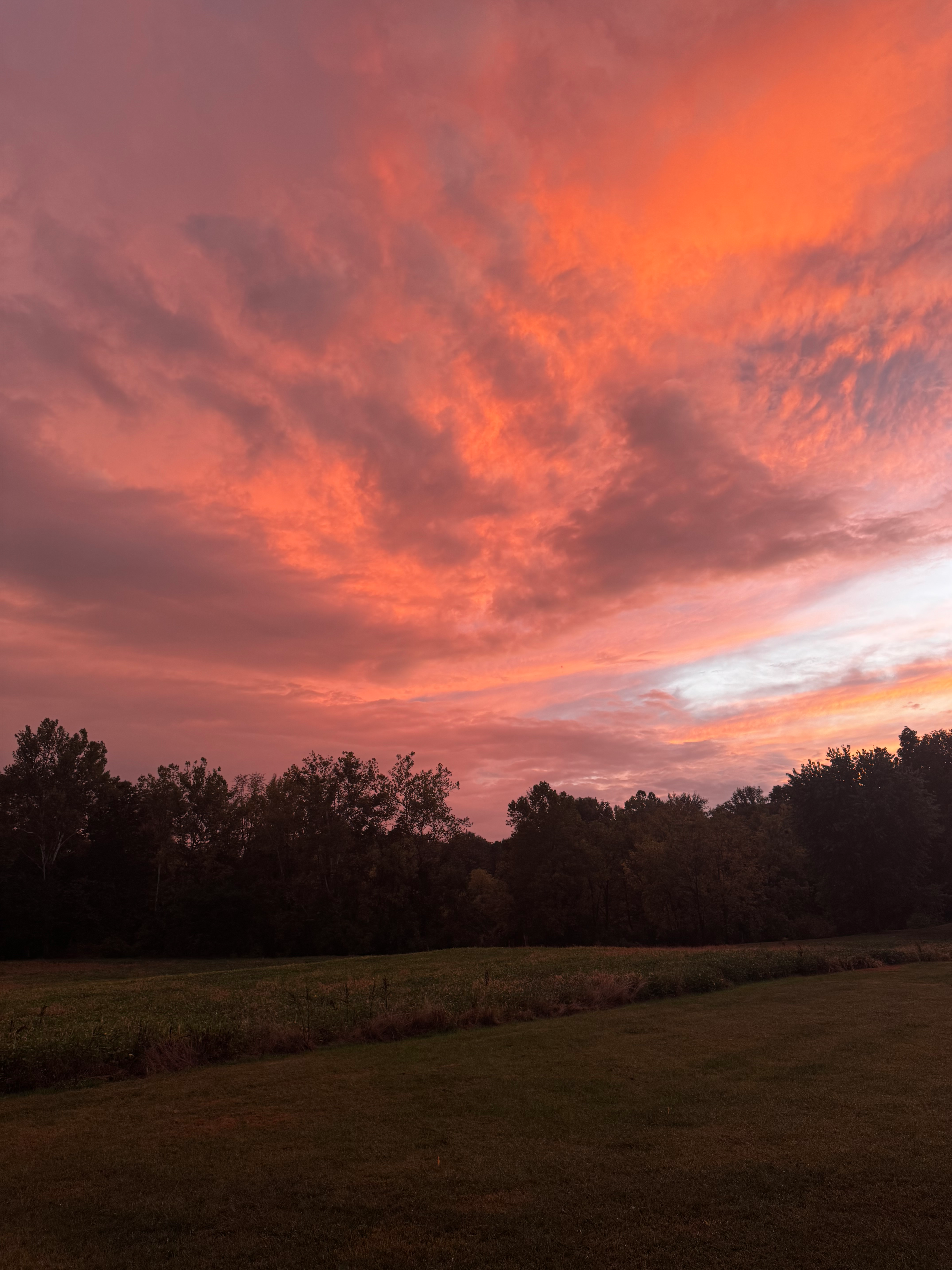 user avatar image for Cj