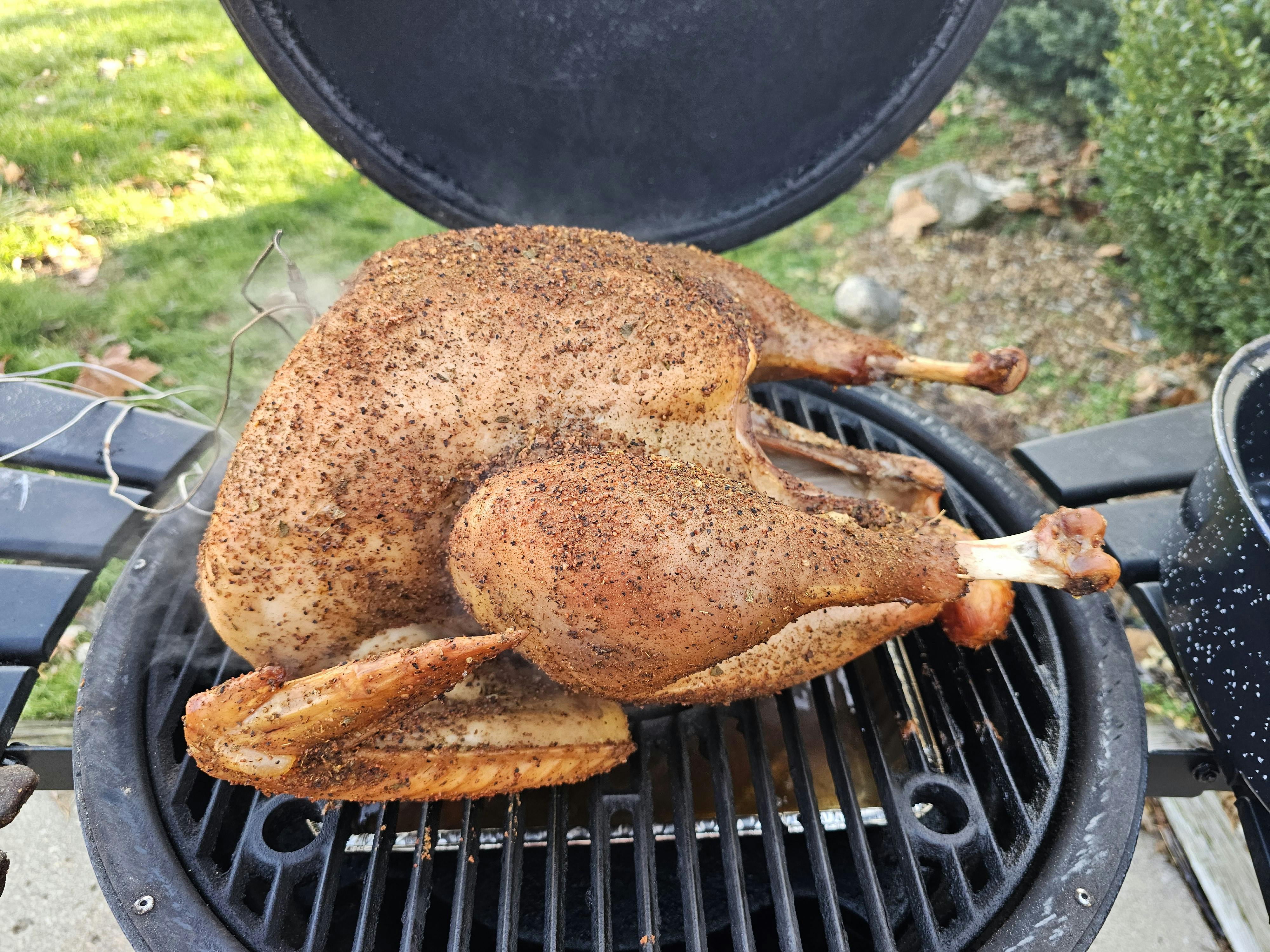 user avatar image for Robtrot