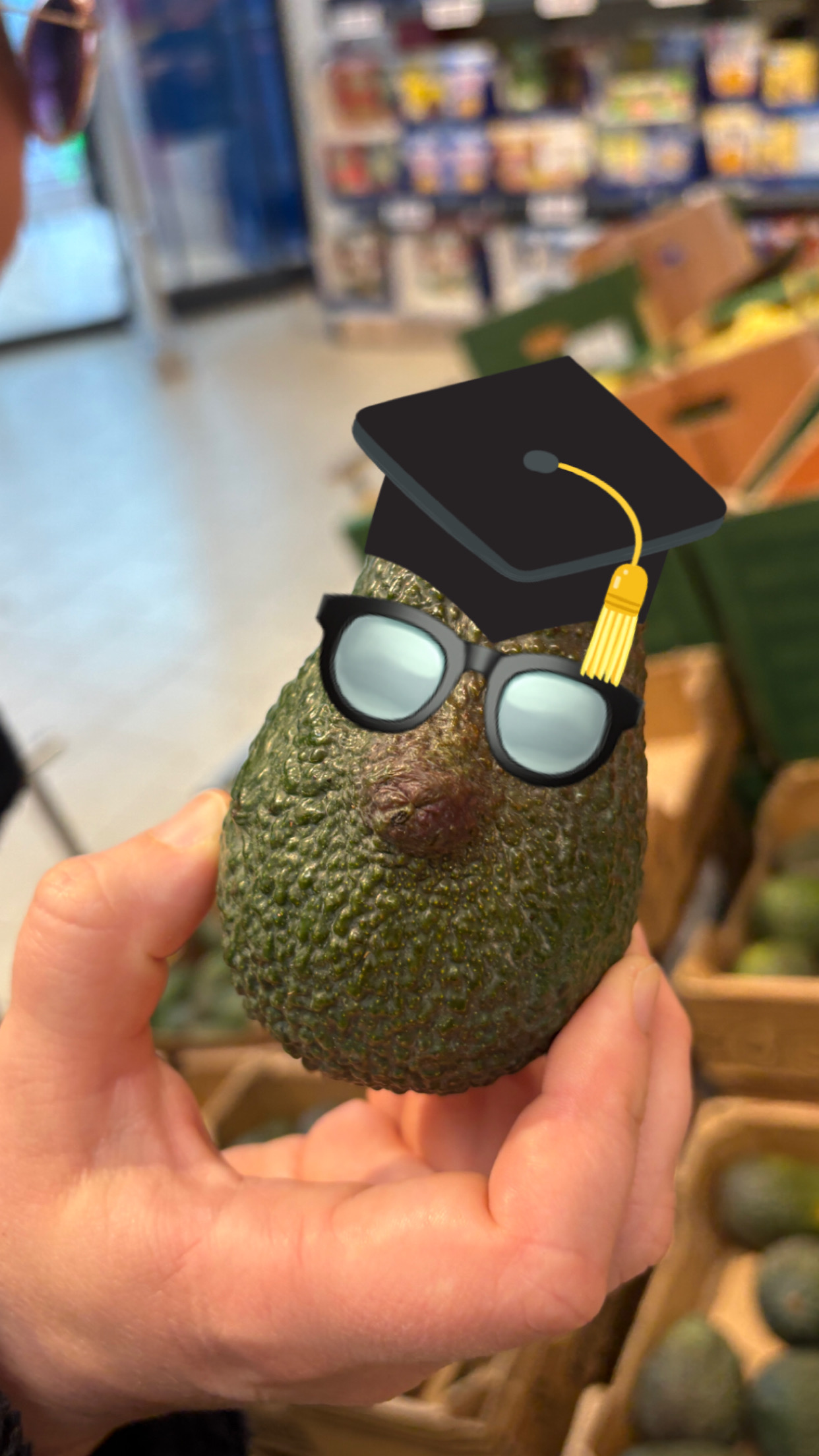 user avatar image for Finn Fröhlich