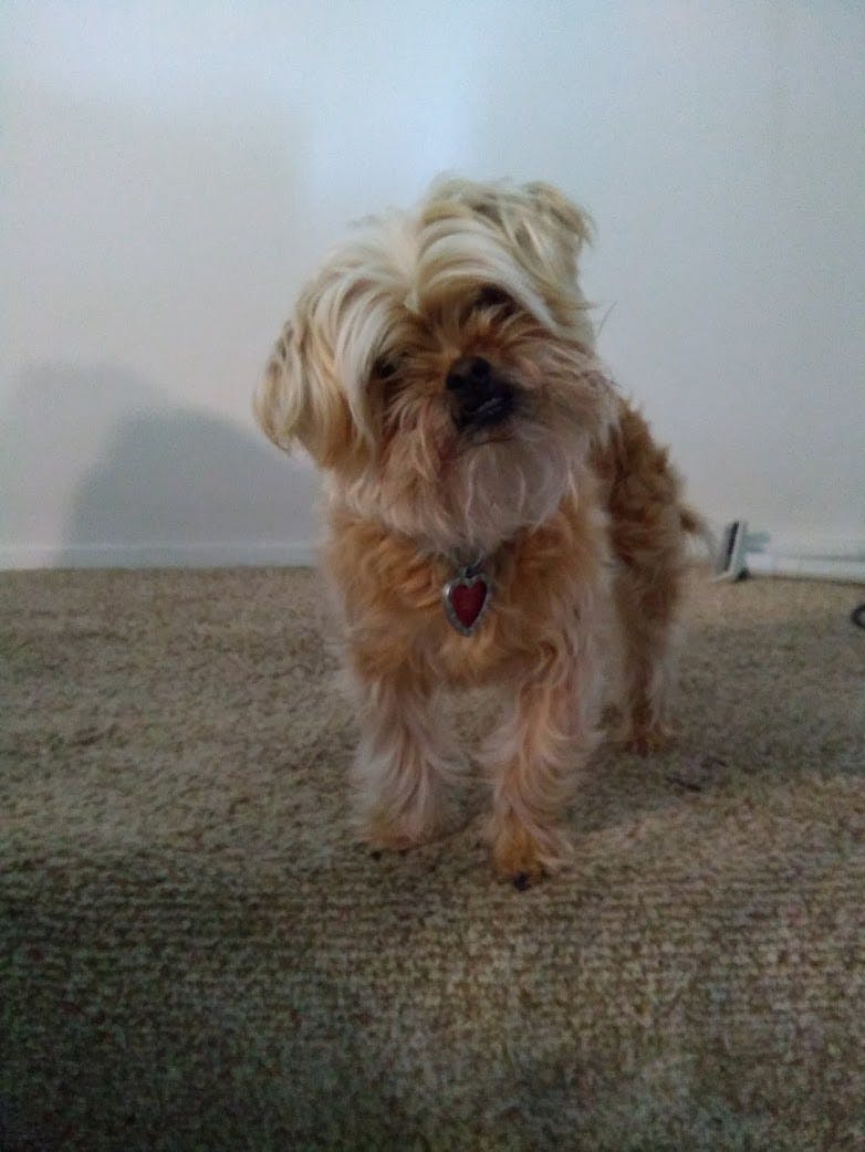 user avatar image for Tyson