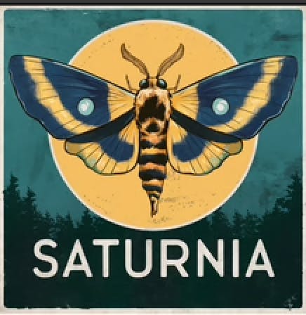 user avatar image for spark studio