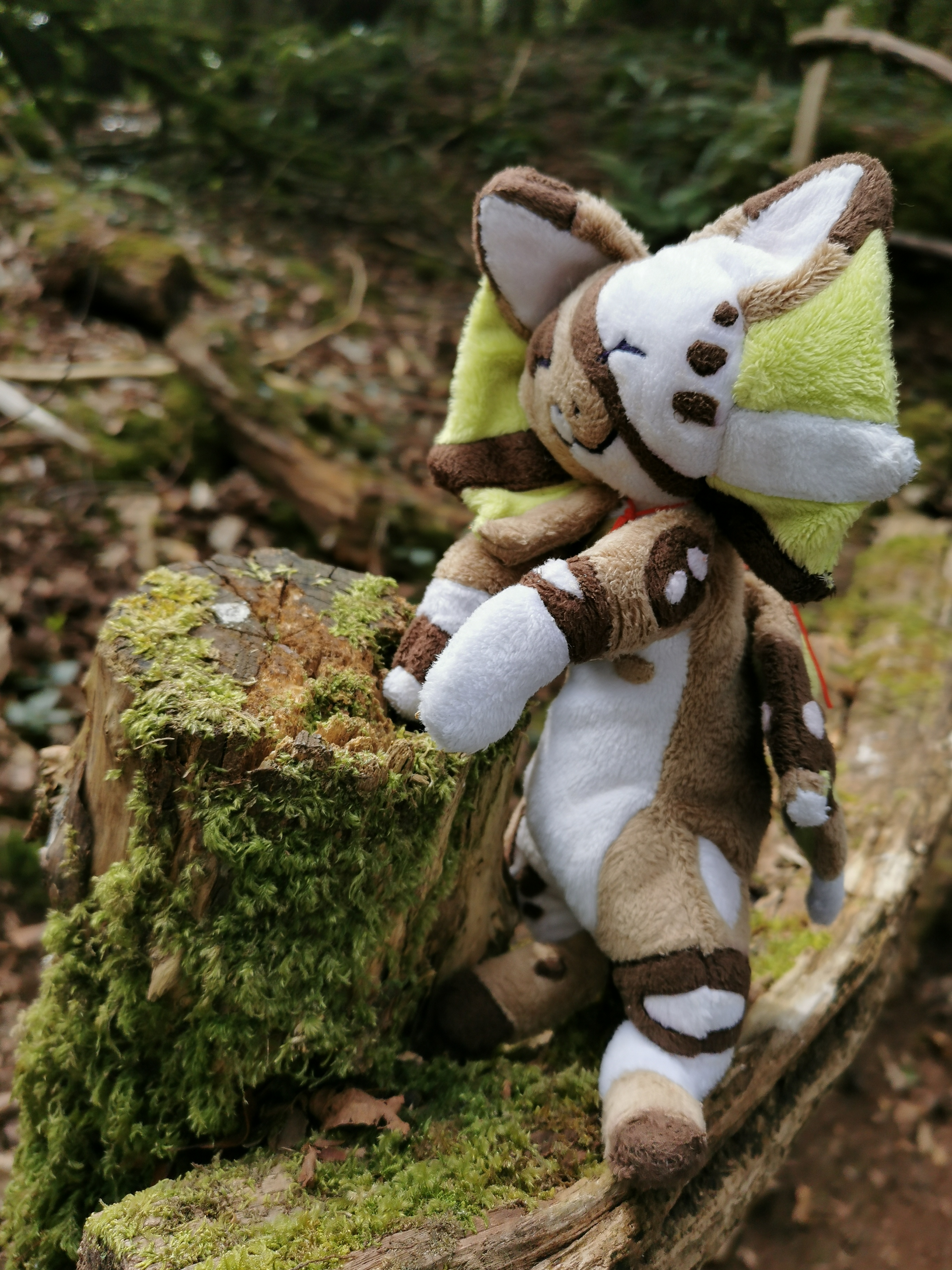 user avatar image for Amber