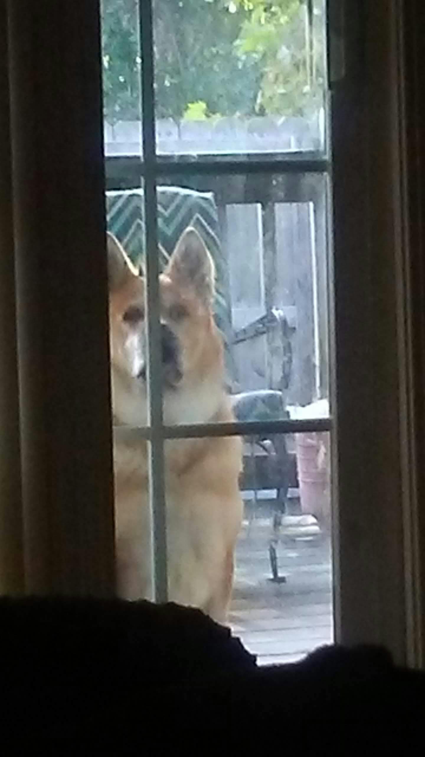 user avatar image for ChanceEnhance2002