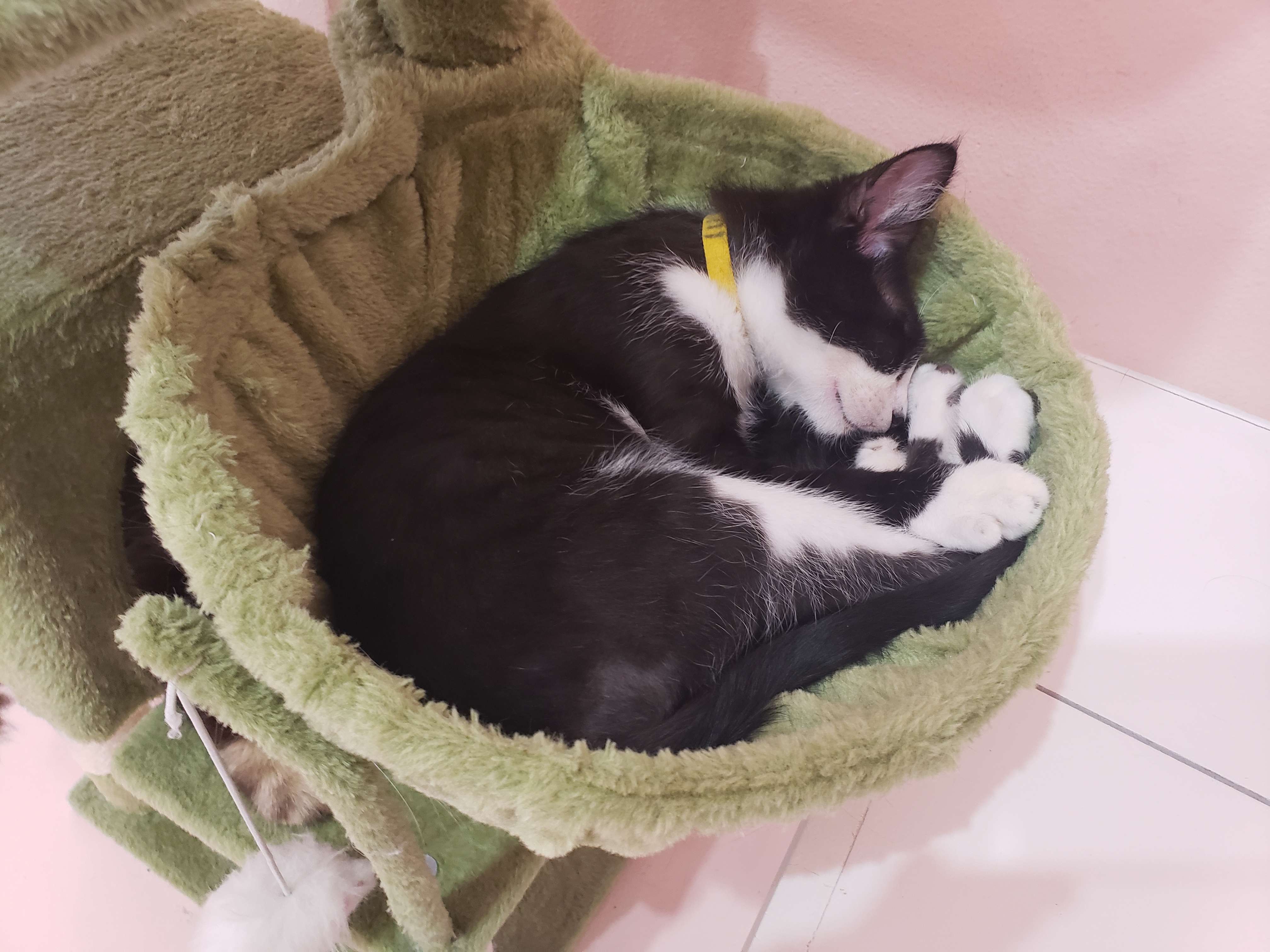 user avatar image for Dan