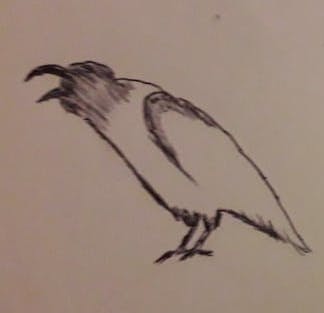 user avatar image for Roxy Southern