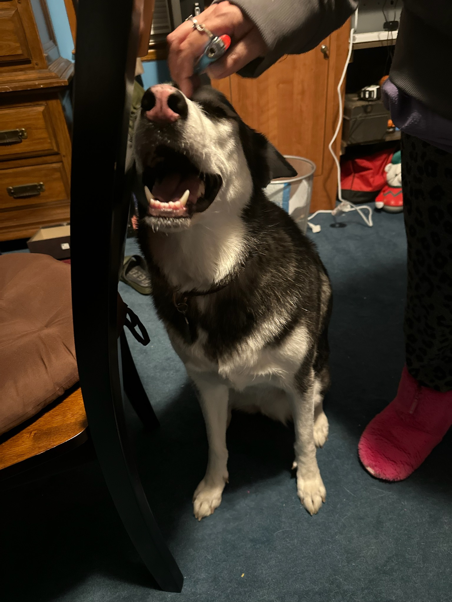 user avatar image for Chuck Cushman