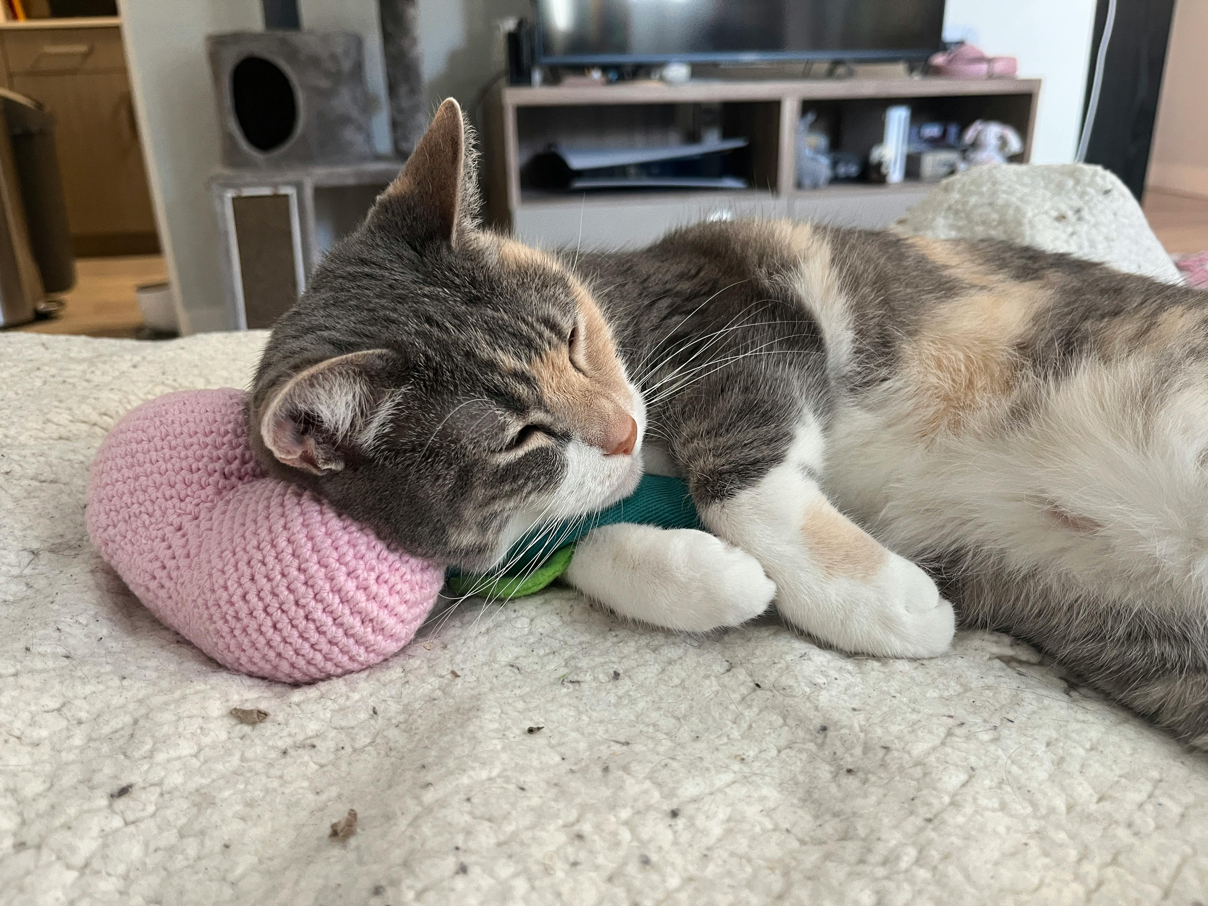 user avatar image for Kayleigh Gordon