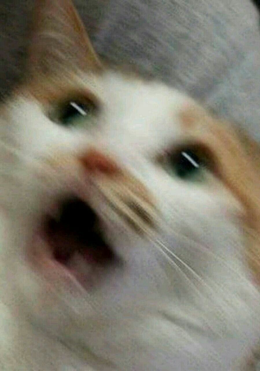 user avatar image for Cable