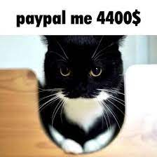 user avatar image for ItsJustEthan :3