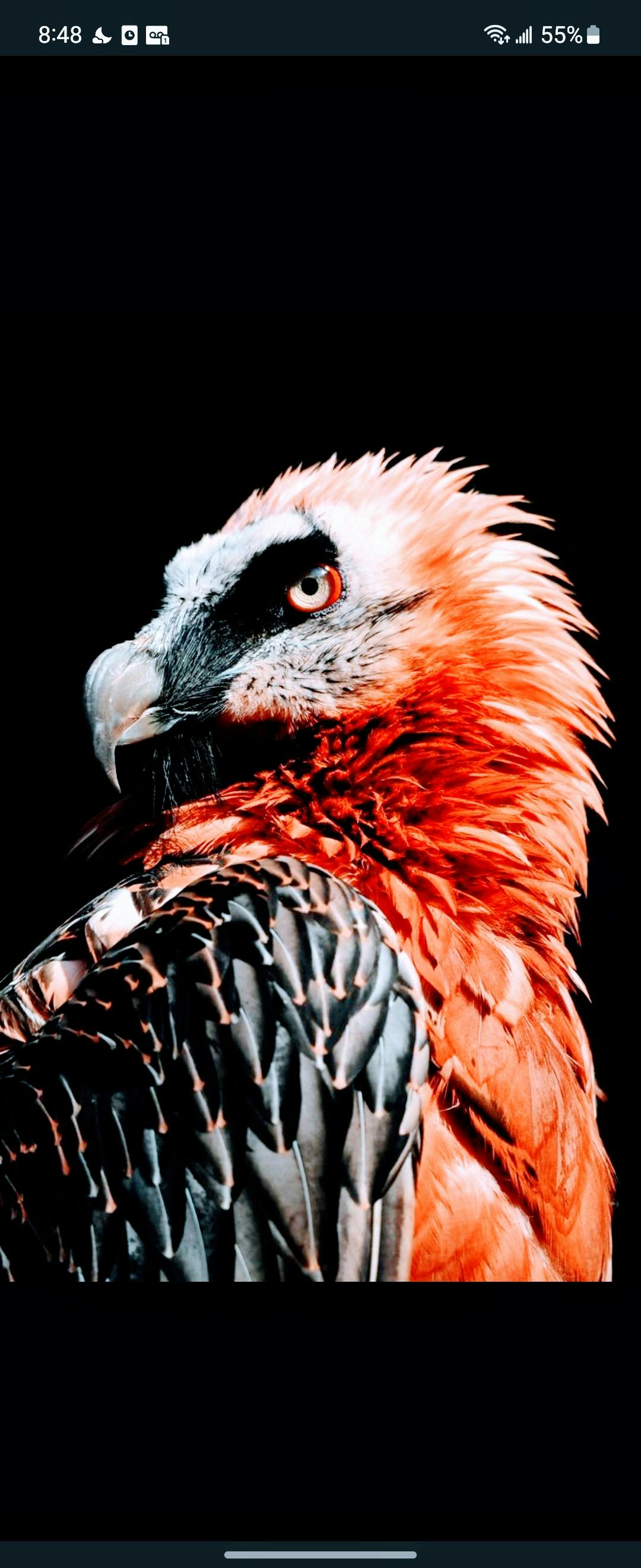 user avatar image for Sharsinth