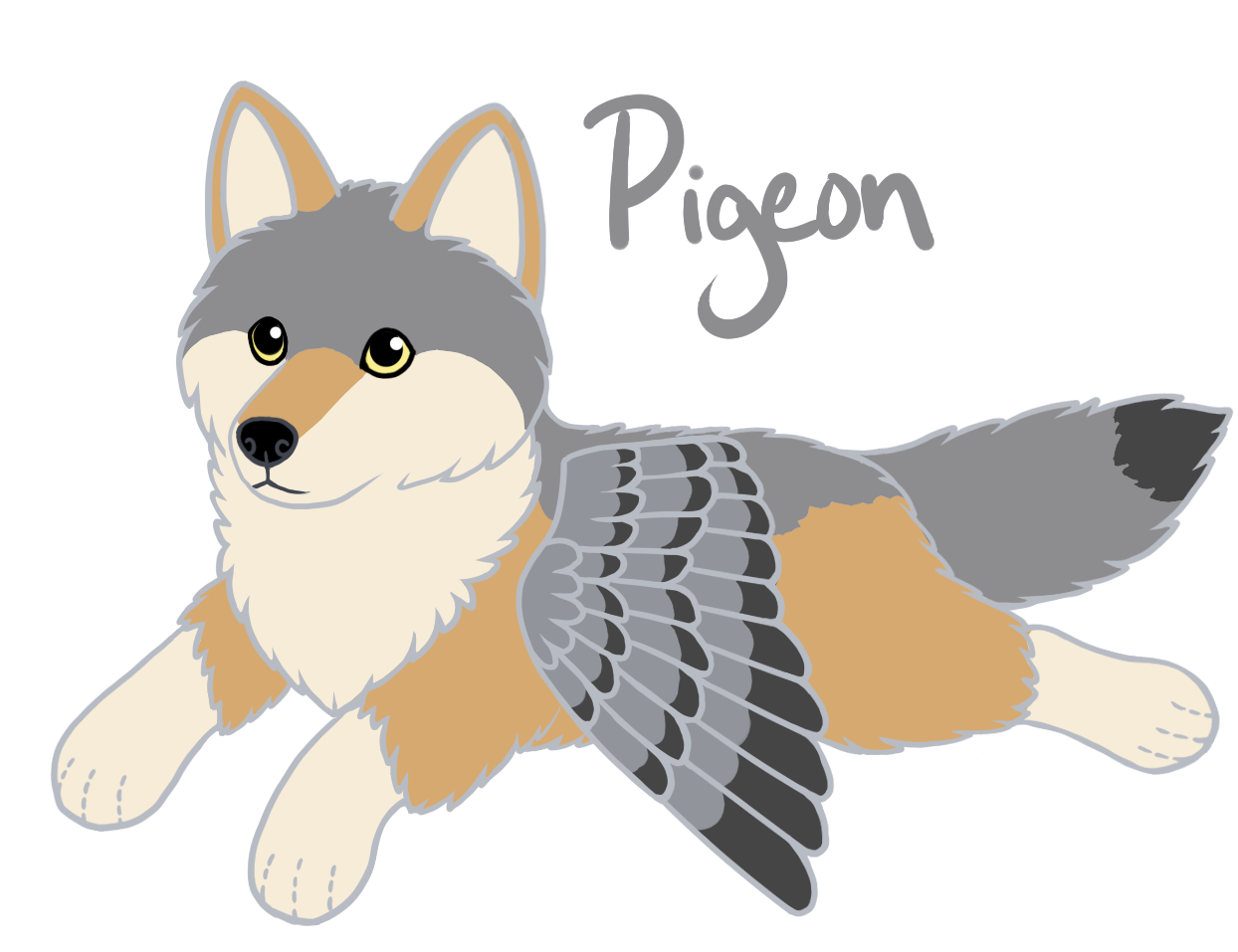 SMALL Coyote Pigeon