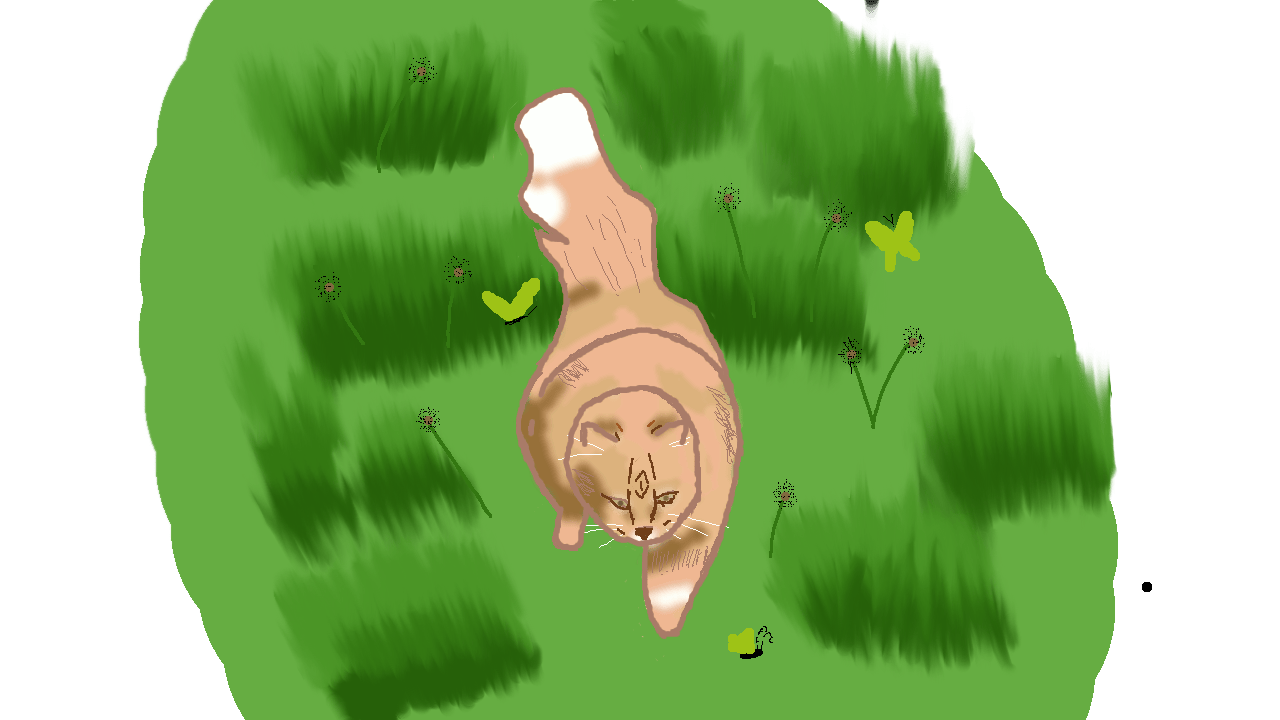 user avatar image for Ara D