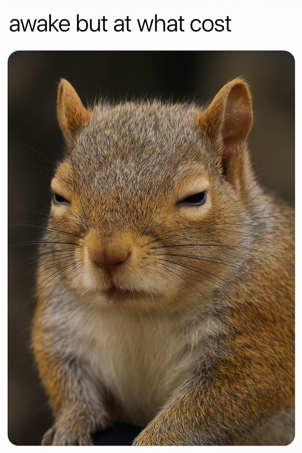 user avatar image for Tahnyka butler