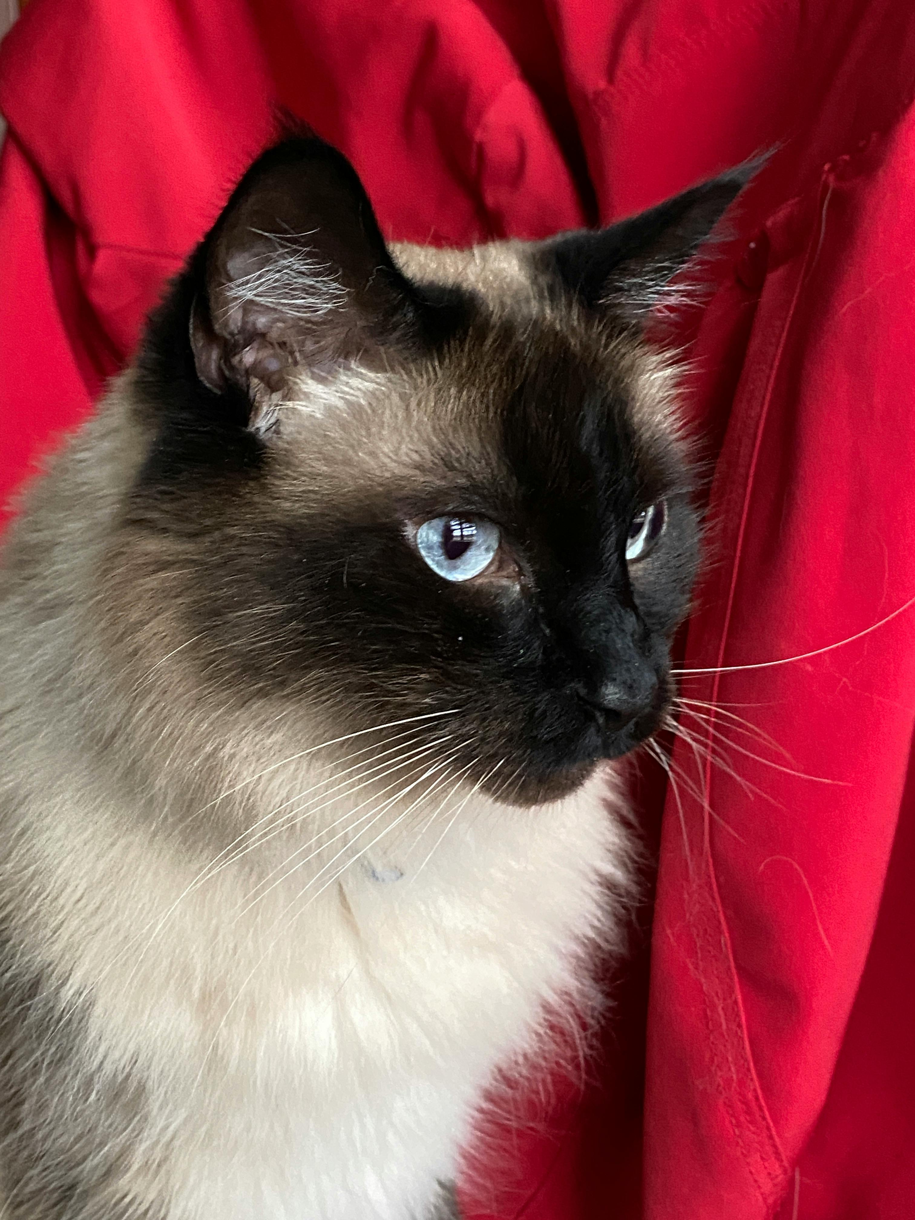 user avatar image for Tiffany