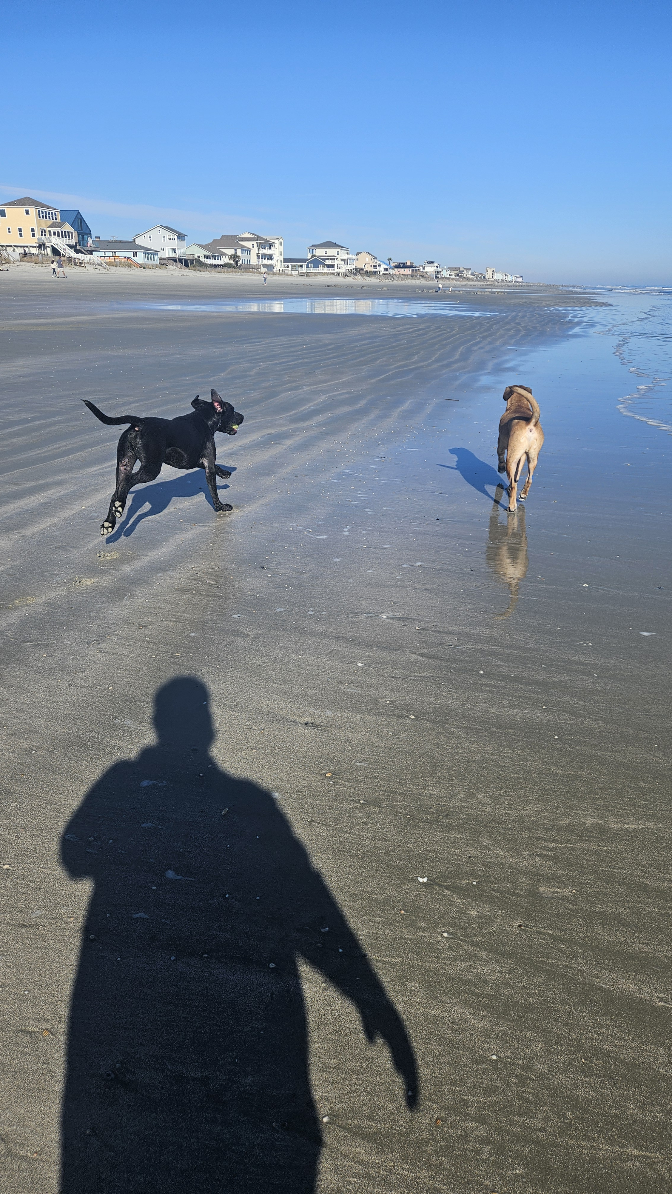 user avatar image for Matthew