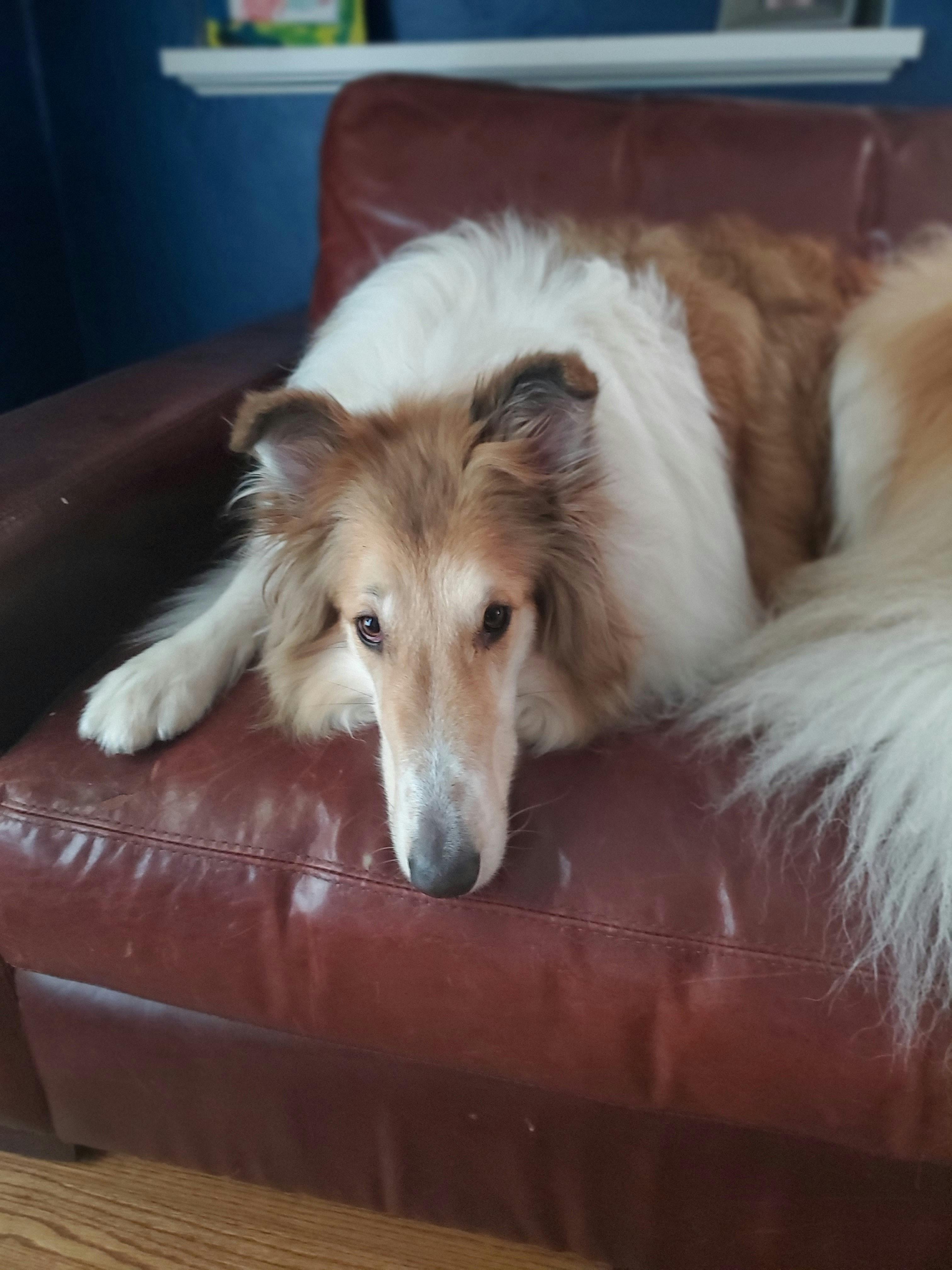 user avatar image for UbiquitousFew