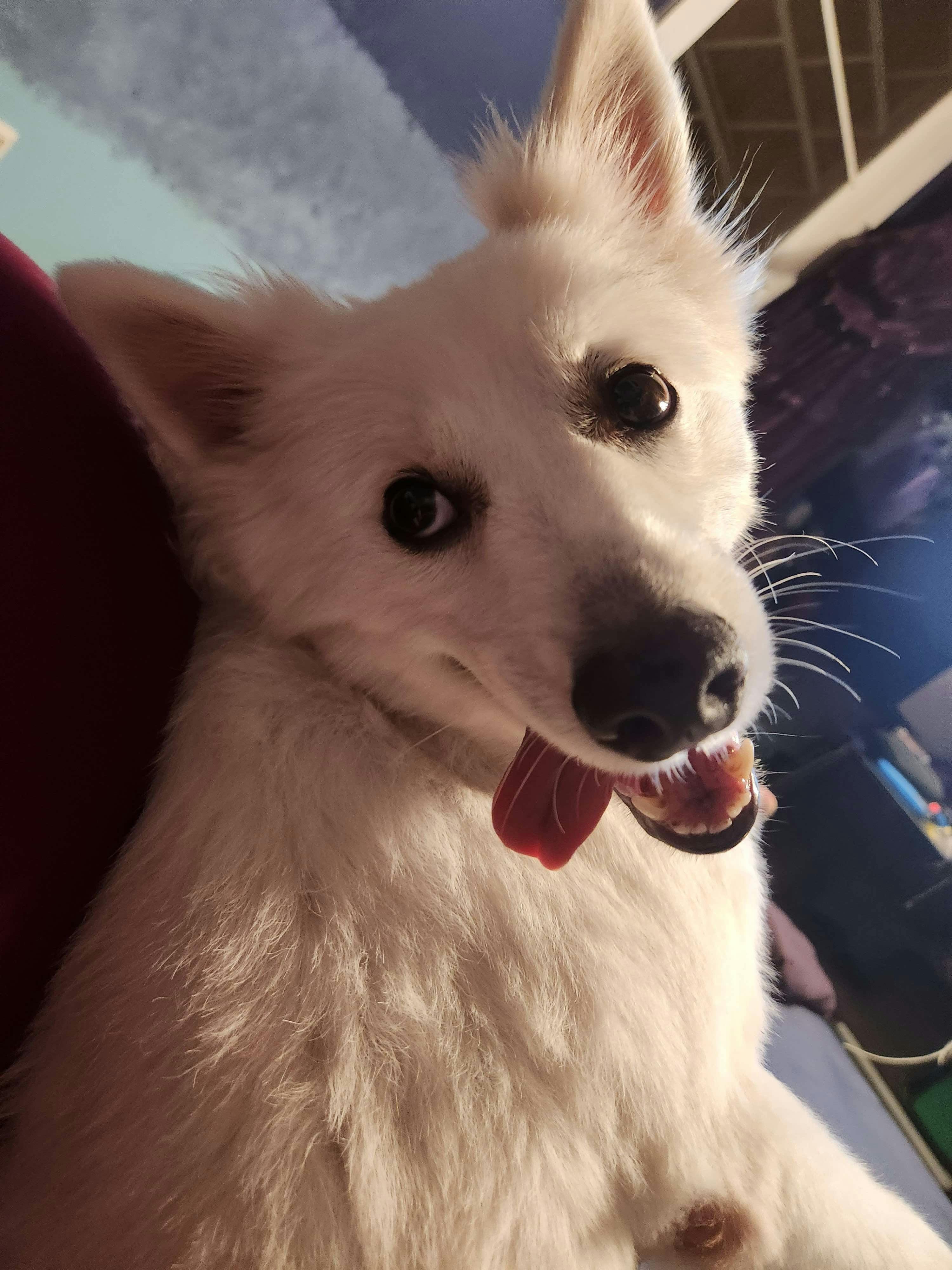 user avatar image for lunareffectltd