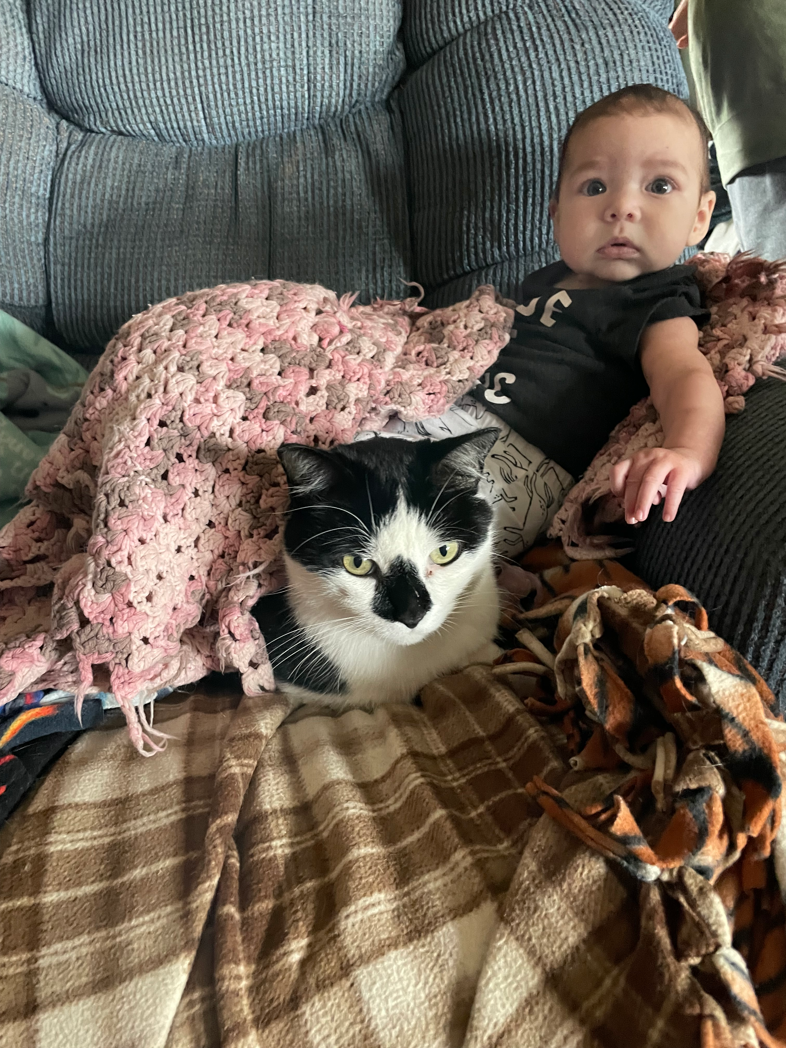 user avatar image for Chelsey